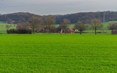 USDA Guaranteed vs Direct Loan: Which Program Fits Your Income and Property